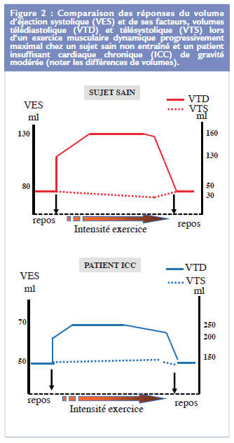 fig6