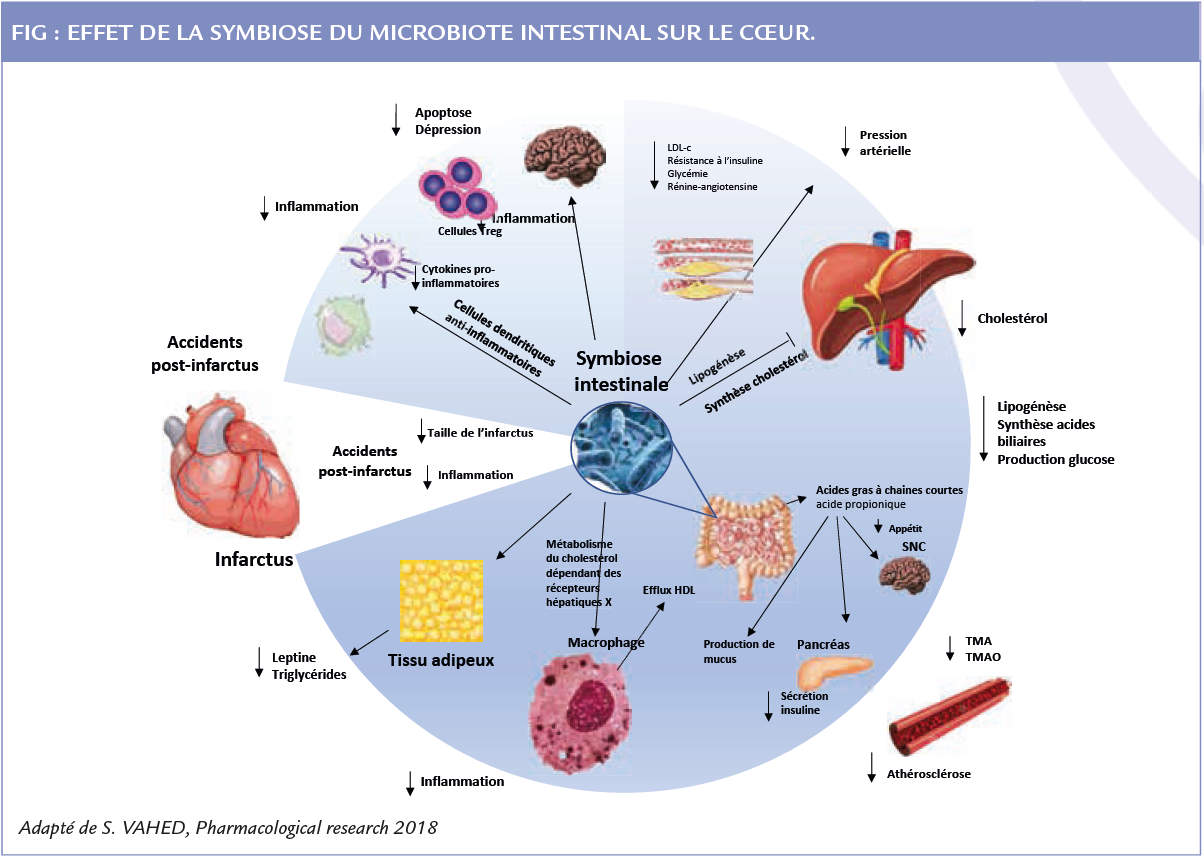 Figure article 2